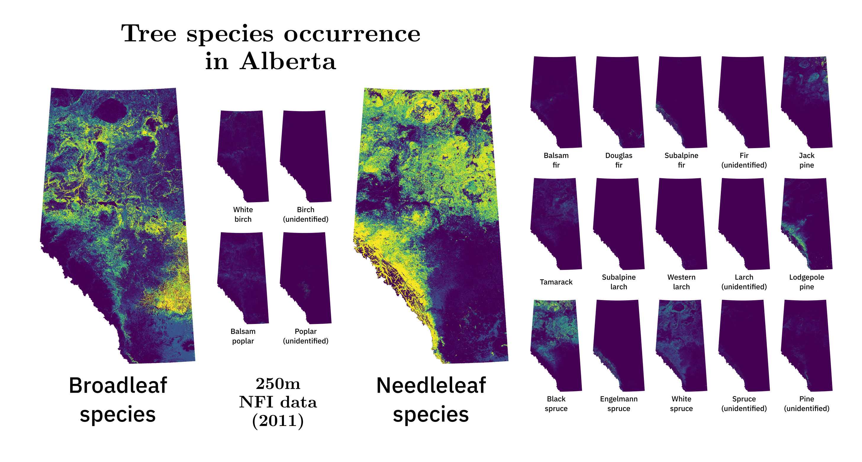 A map of tree species prevalence in Alberta.